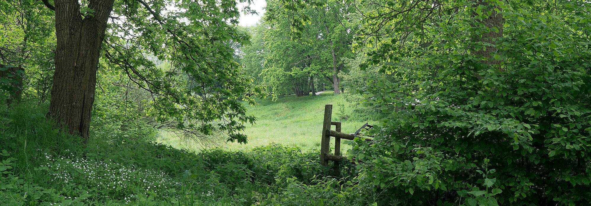 Das weite und wilde Gelände lädt zum Verweilen ein.