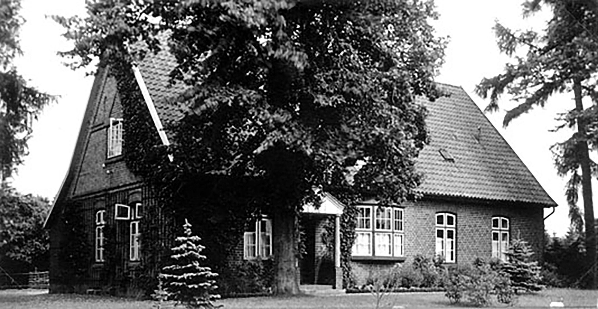 Das Hauptgebäude mit den großen Linden davor.